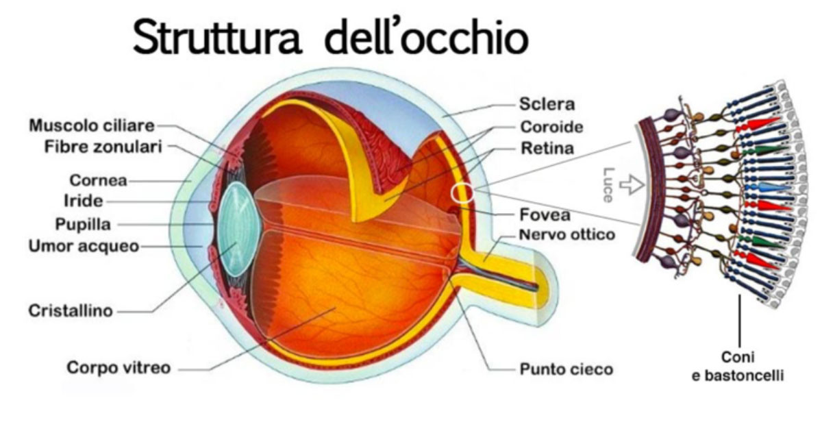 occhio.jpg